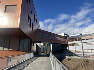 Gangbro Hovseter skole